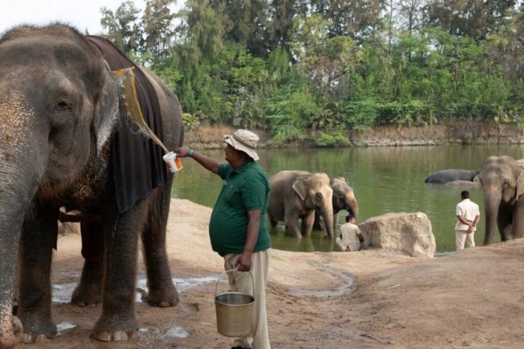 images-2026-03-19T202350.016-2026-03-bd38c4e03c6dfcb175c7f9c465d14470-1200x800-1