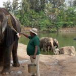 images-2026-03-19T202350.016-2026-03-bd38c4e03c6dfcb175c7f9c465d14470-1200x800-1