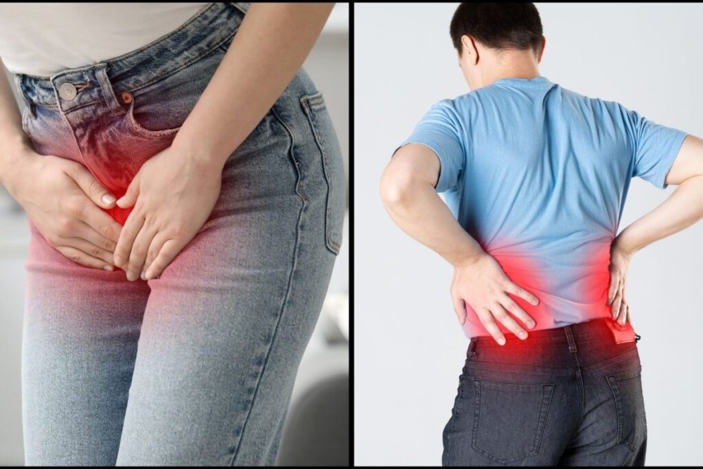 kidney-2026-03-801fd46af6391d6c99ee61b8ca857c72-1200x800-1