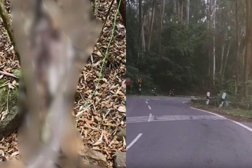 kodaikanal-2026-03-50ae2bcad07699f359ce7388a39f3150-1200x800-1