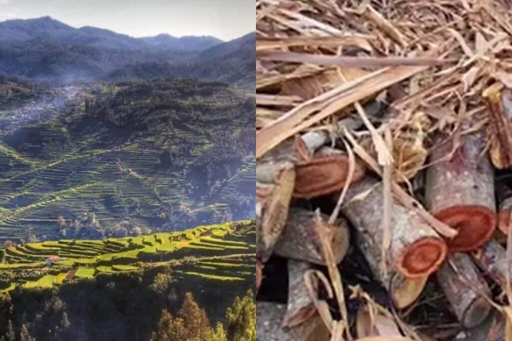 kodaikanal-2026-03-88726d0c356807440b028a71f38db7c1-1200x800-1