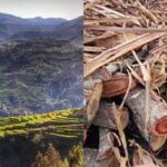 kodaikanal-2026-03-88726d0c356807440b028a71f38db7c1-1200x800-1