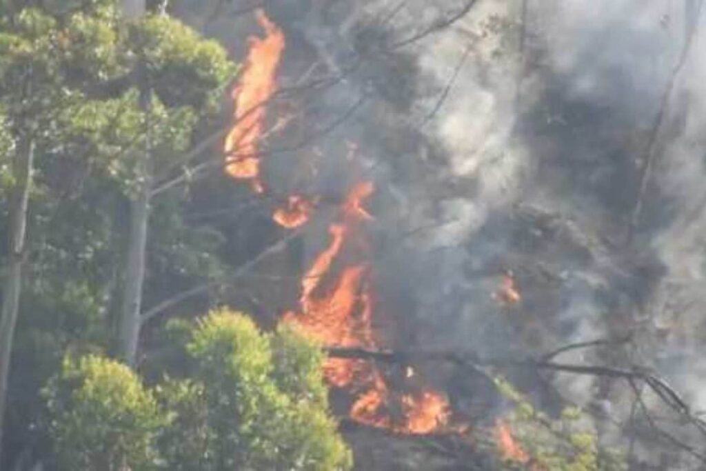 kodaikanal-2026-03-b164628551ddbebb24a61b553ddcd1af-1200x800-1