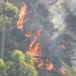 kodaikanal-2026-03-b164628551ddbebb24a61b553ddcd1af-1200x800-1