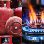 lpg-cylinder-alternatives-1773300671