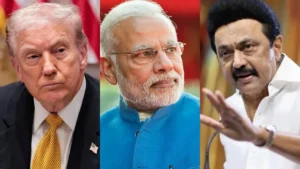 modistalin-1772815809