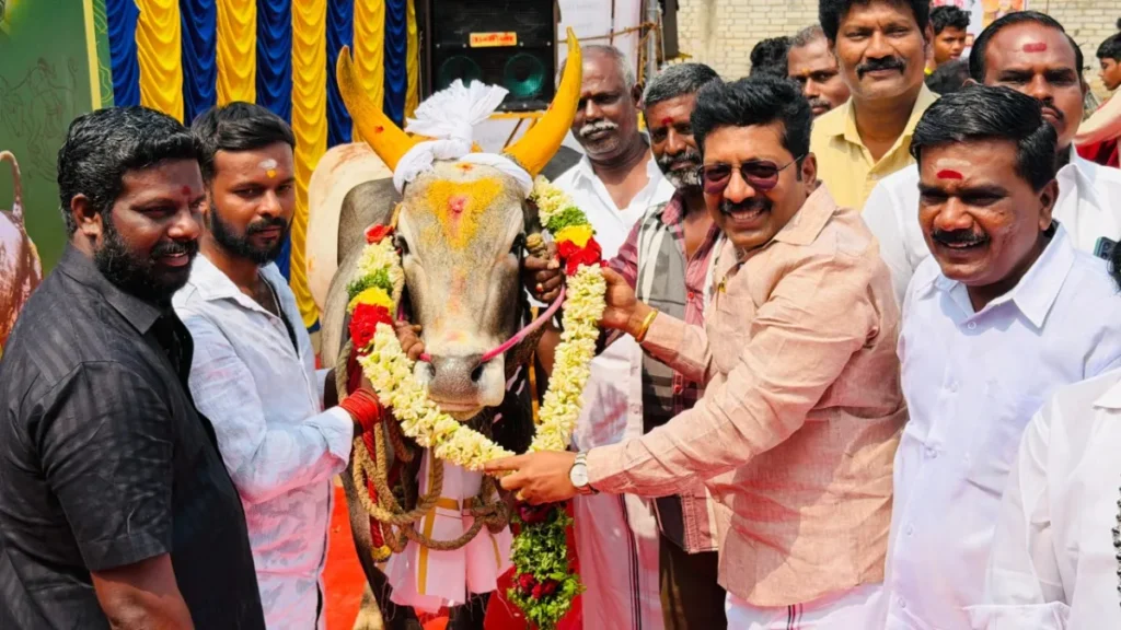 newproject4-1772369100