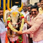 newproject4-1772369100