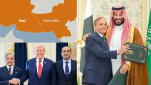 paksitanf-1773488853