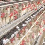 rasipuram-1-2026-03-a575d1b61d995e4845200c7bf4942f24-1200x800-1