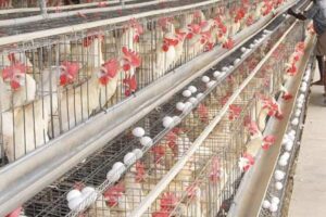 rasipuram-1-2026-03-a575d1b61d995e4845200c7bf4942f24-1200x800-1