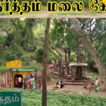 salan-raj-39-2026-03-8616829a964e10dfd9f68d062ace4201-1200x800-1