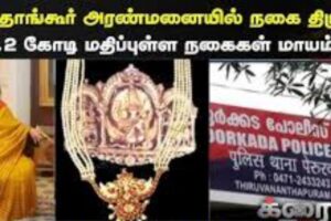 salan-raj-57-2026-03-43656704ba1335194135e9a18380ec9c-1200x800-1