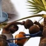 salan-raj-81-2026-03-6a3c3db03bf4060962882705c6dd3400-1200x800-1