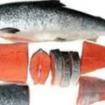 salmonfishhome-1774343810