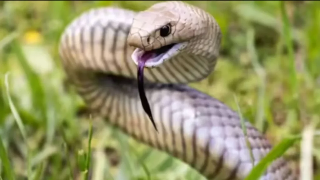 screenshot4687-1773374145