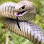 screenshot4687-1773374145