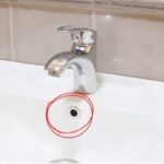 sink-2026-03-a34c7b11ca0837cae8d222bef8eabdf9-1200x800-1