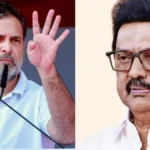 stalinrahuldmk-1772335488