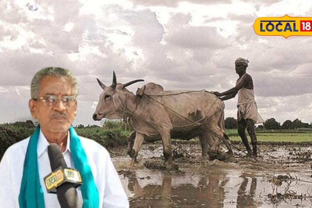 summer-crops-2026-03-c7b2e1dc1fef471345d3c6b342a4636d-1200x800-1