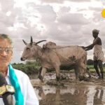 summer-crops-2026-03-c7b2e1dc1fef471345d3c6b342a4636d-1200x800-1