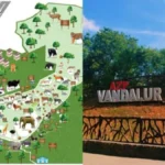 vandalurzoo-1773391690