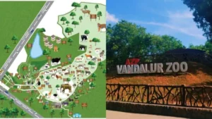 vandalurzoo-1773391690