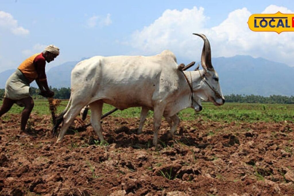 water-crisis-2026-03-2a2cf28f2a043ab91289ce8b36607f15-1200x800-1