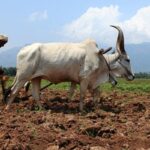 water-crisis-2026-03-2a2cf28f2a043ab91289ce8b36607f15-1200x800-1