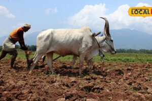 water-crisis-2026-03-2a2cf28f2a043ab91289ce8b36607f15-1200x800-1