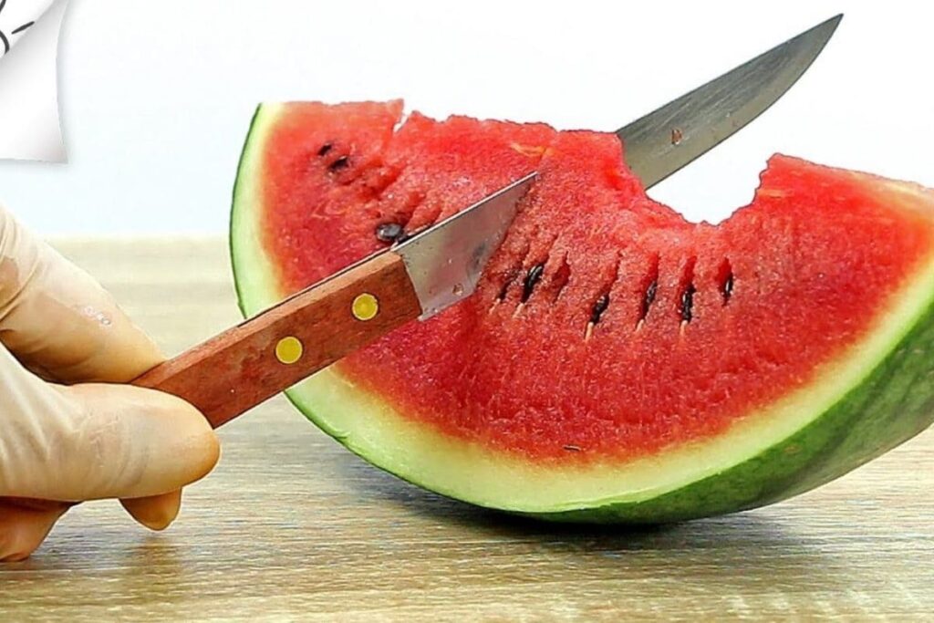 watermelon-2026-03-81420356a8c08e0e35d9258854356e57-1200x800-1