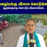 Farmers-election-demands-2026-04-134b81cb3cd0fded187a8a37b06b721b-1200x800-1