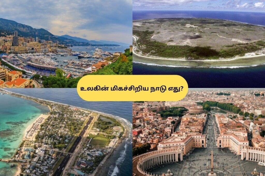 GK-2026-04-03T074528.456-2026-04-e9c7ab1534c7569fec4156ddcedfbeb1-1200x800-1