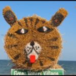 HYP_5818784_1775026516259_2