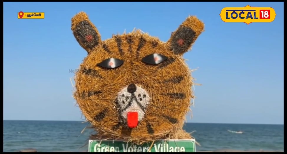 HYP_5818784_1775026516259_2