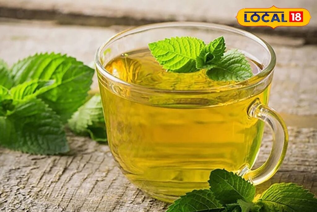 HYP_5821356_cropped_06042026_020711_camlanh_watermark_06042026_2-1200x800-1