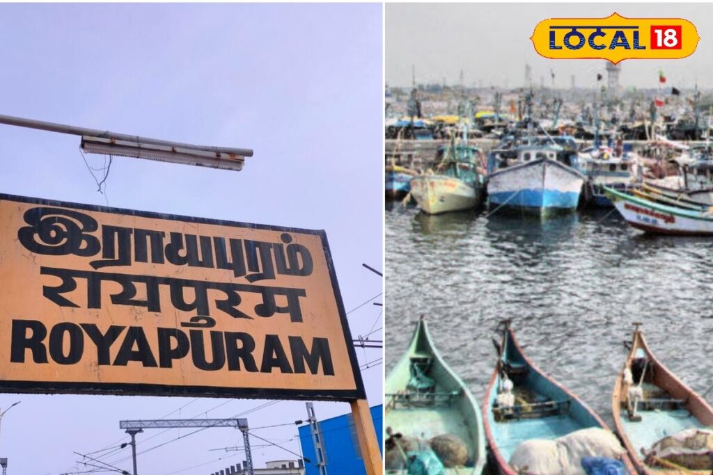 HYP_5821996_cropped_07042026_021155_inshot_20260407_021137210__2-1200x800-1