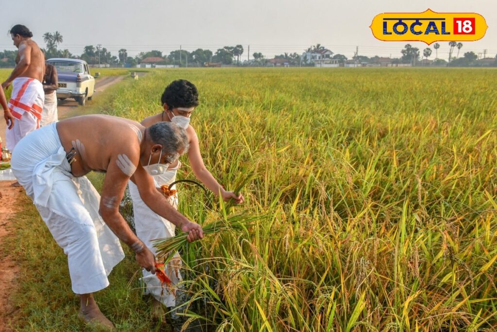 HYP_5822787_cropped_08042026_111331_dsc_0978_watermark_0804202_1-1200x800-1