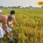 HYP_5822787_cropped_08042026_111331_dsc_0978_watermark_0804202_1-1200x800-1