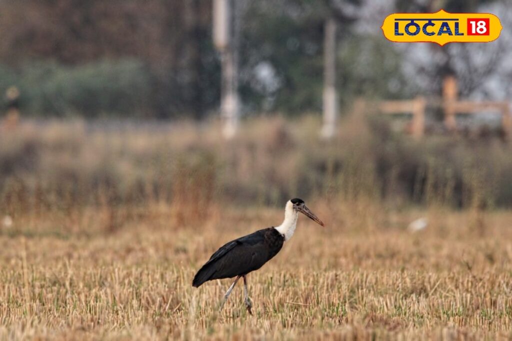 HYP_5823283_cropped_09042026_010041_img20260408wa0147_watermar_1-1200x800-1