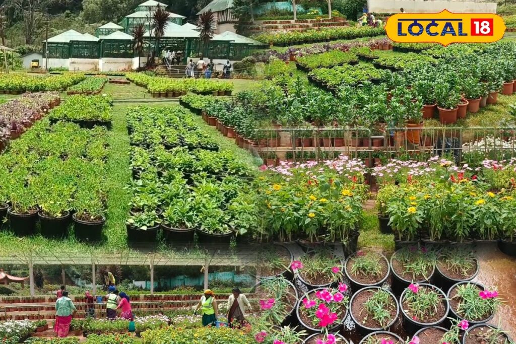 HYP_5823783_cropped_09042026_192652_inshot_20260409_192533824__2-1200x800-1