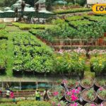 HYP_5823783_cropped_09042026_192652_inshot_20260409_192533824__2-1200x800-1