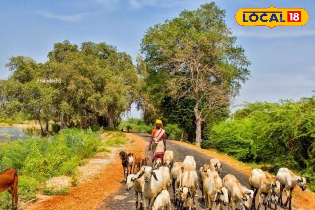 HYP_5823823_cropped_09042026_210201_images_13_watermark_090420_2-1200x800-1