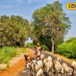 HYP_5823823_cropped_09042026_210201_images_13_watermark_090420_2-1200x800-1