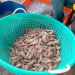 HYP_5824494_1775847683340_2