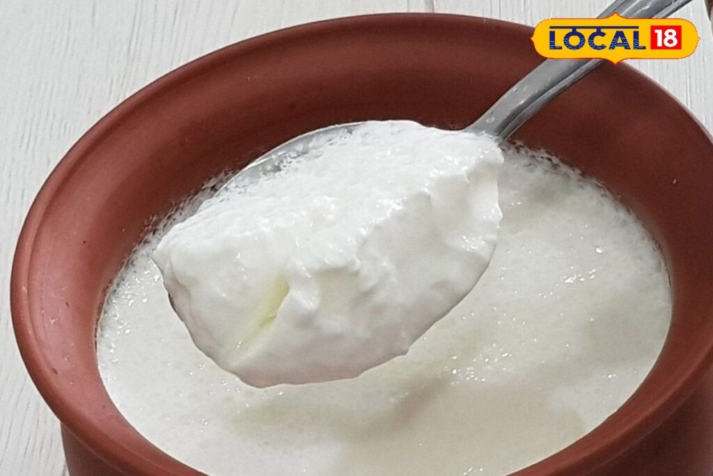 HYP_5825949_cropped_14042026_004940_curd6_watermark_14042026_0_2-1200x800-1