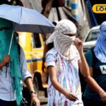 HYP_5825952_cropped_14042026_015140_summerdl1647574492_waterma_1-1200x800-1