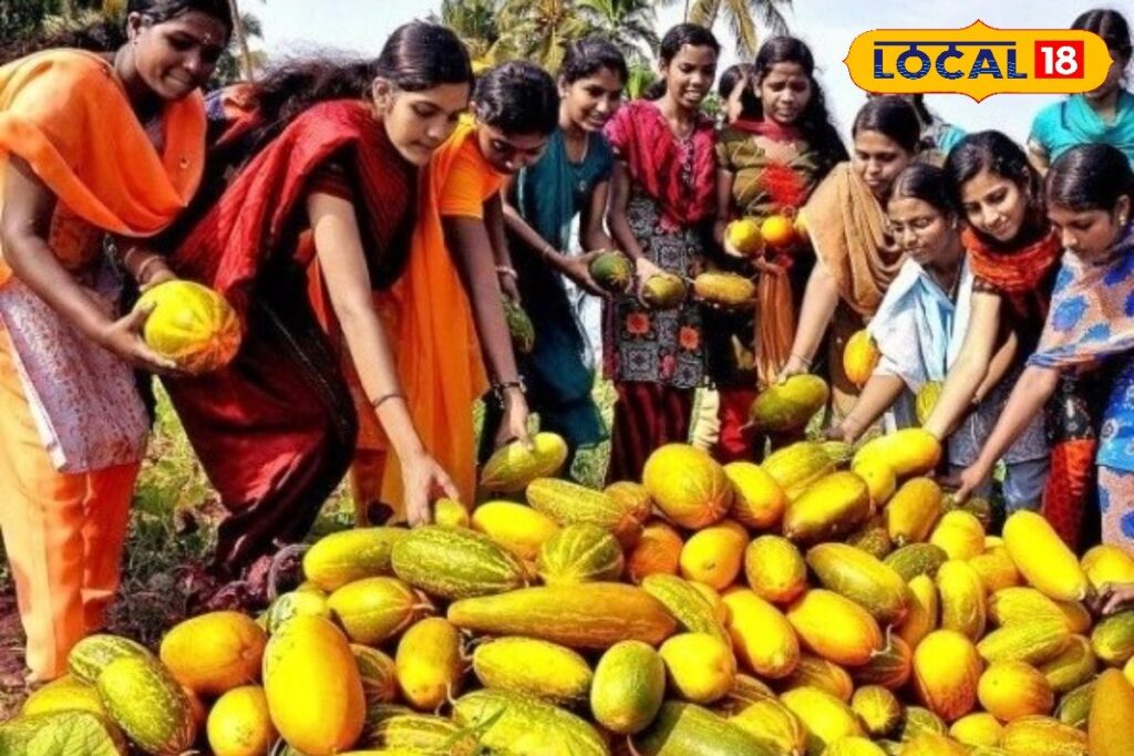 HYP_5826541_cropped_15042026_010747_watermark_15042026_010749_1-1200x800-1