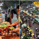 HYP_5826597_cropped_15042026_084322_inshot_20260415_084309201__2-1200x800-1