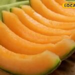 HYP_5828198_cropped_17042026_230830_928ff7fe4674c9c8443673c482_2